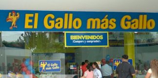 Foto: El Gallo más Gallo realizó el lanzamiento desde su nueva sucursal en Plaza Natura/TN8