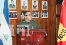 Detenidas 31 personas y ocupados 37 semovientes en operaciones del Batallón Bosawás Detenidas 31 personas y ocupados 37 semovientes en operaciones del Batallón Bosawás