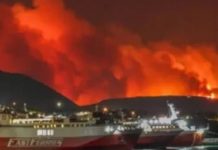 Grecia solicita ayuda internacional para enfrentar incendio forestal Foto: Grecia pide ayuda internacional para enfrentar incendio forestal/Cortesía