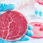 En EE.UU. demandan el Estado de Florida por prohibir la carne sintética Foto: Estados Unidos, Florida, no puede prohibir productos cuya venta es legal/Cortesía