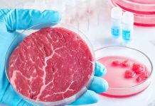 En EE.UU. demandan el Estado de Florida por prohibir la carne sintética Foto: Estados Unidos, Florida, no puede prohibir productos cuya venta es legal/Cortesía