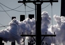 Europa: estudio afirma que más de 50.000 muertes fueron producida por CO₂ Foto: Muertos en Europa por calor producido por contaminación de carbono/Cortesía