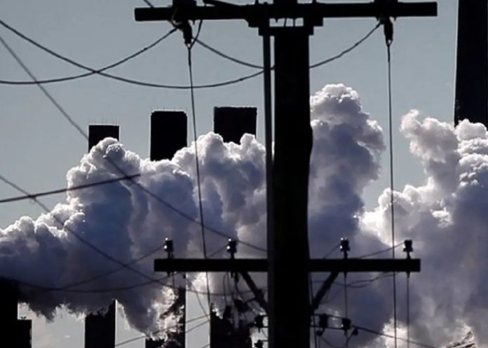 Foto: Muertos en Europa por calor producido por contaminación de carbono/Cortesía Foto: Muertos en Europa por calor producido por contaminación de carbono/Cortesía