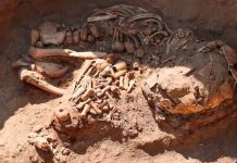 ¡Histórico! En Perú arqueólogos descubren restos humanos de 3 mil 800 años Foto: Un equipo de arqueólogos de Perú descubrió los restos de una sociedad/Cortesía