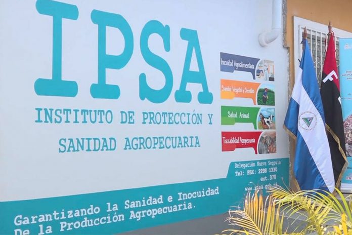 1 Foto: Avances en el control del gusano barrenador del ganado según informe IPSA / Cortesía
