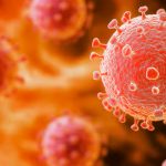 Alarmante aumento del virus Oropuche preocupa a investigadores Foto: Confirma que el virus de Oropouche se ha expandido/Cortesía