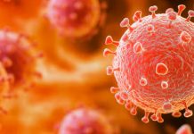 Alarmante aumento del virus Oropuche preocupa a investigadores Foto: Confirma que el virus de Oropouche se ha expandido/Cortesía