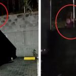¡Escalofriante! Vigilantes de un cementerio «pálidos» tras ver a un fantasma Foto: Escalofriante cementerio /cortesía
