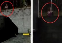 ¡Escalofriante! Vigilantes de un cementerio «pálidos» tras ver a un fantasma Foto: Escalofriante cementerio /cortesía