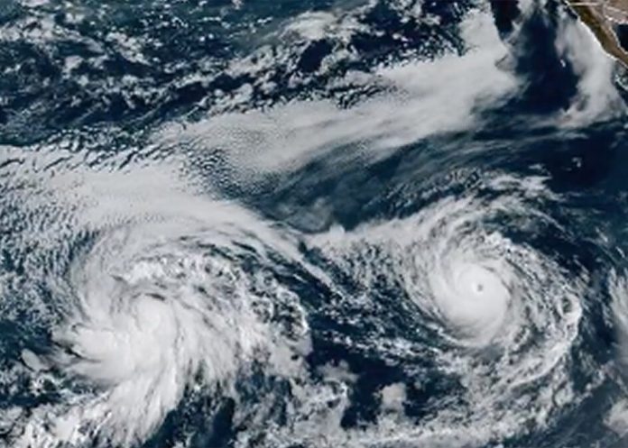 Foto: Hawái en alerta /cortesía Foto: Hawái en alerta /cortesía