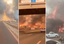 Alerta máxima en 30 ciudades de Brasil por incendios catastróficos Foto: 30 ciudades de Brasil están en alerta máxima /Cortesía