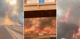 Foto: 30 ciudades de Brasil están en alerta máxima /Cortesía