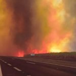 Lula da Silva denuncia: «Incendios en Brasil fueron provocados, no naturales» Foto: Lula da Silva denuncia incendios en Brasil /cortesía