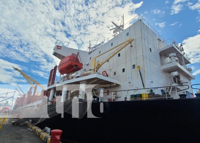 Foto: Desarrollo económico /TN8 Foto: Desarrollo económico /TN8