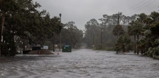 Foto: Huracán Debby deja cinco muertos a su paso /Cortesía
