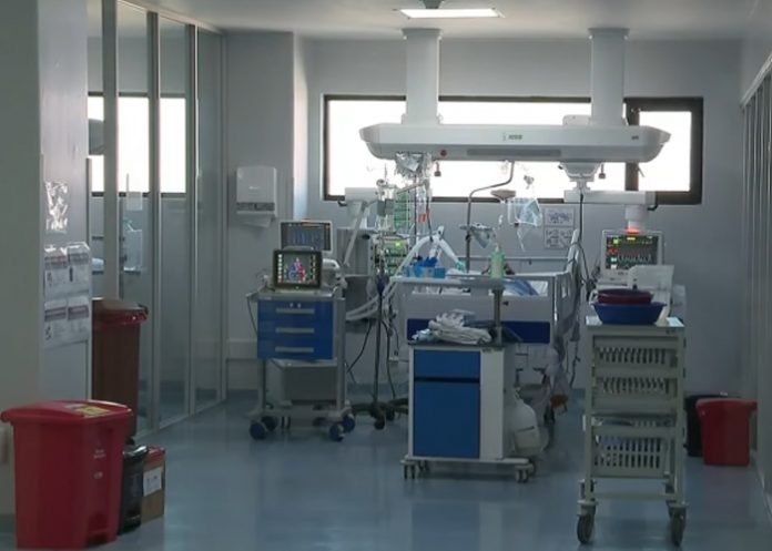 Foto: Eutanasia en Ecuador /cortesía Foto: Eutanasia en Ecuador /cortesía