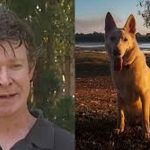 Experto en cocodrilos sentenciado por abusar y matar decenas de perros en Australia Foto: Experto en cocodrilos sentenciado por abusar y matar decenas de perros en Australia/ Cortesía