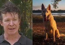 Experto en cocodrilos sentenciado por abusar y matar decenas de perros en Australia Foto: Experto en cocodrilos sentenciado por abusar y matar decenas de perros en Australia/ Cortesía