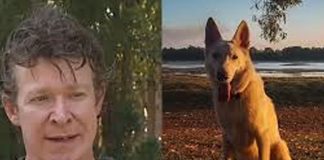 Foto: Experto en cocodrilos sentenciado por abusar y matar decenas de perros en Australia/ Cortesía