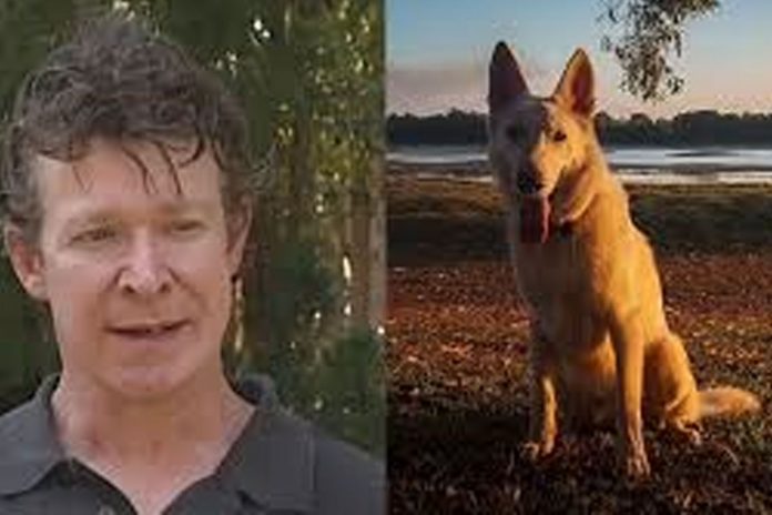 2 Foto: Experto en cocodrilos sentenciado por abusar y matar decenas de perros en Australia/ Cortesía