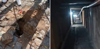 Foto: Encuentran túnel de unos 220 metros de largo/Cortesía