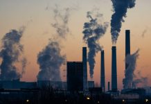 Las muertes por calor en Europa superan casi los 50,000 Foto: Impacto del calor en Europa /cortesía