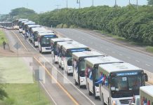 Foto: Nicaragua recibe 100 nuevos autobuses Yutong para mejorar el transporte urbano/TN8