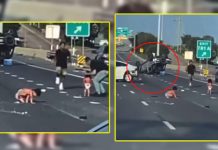 En EE.UU. bebés caminan por autopista tras un accidente automovilístico Foto: En Estados Unidos, dos bebés en pañales en medio de una autopista en el estado de Texas/Cortesía