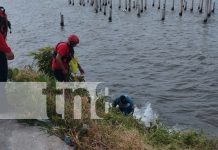 Desesperado tras una ruptura, hombre intenta suicidarse en el Lago de Managua Foto: Desesperado tras una ruptura, hombre intenta suicidarse en el Lago de Managua/TN8