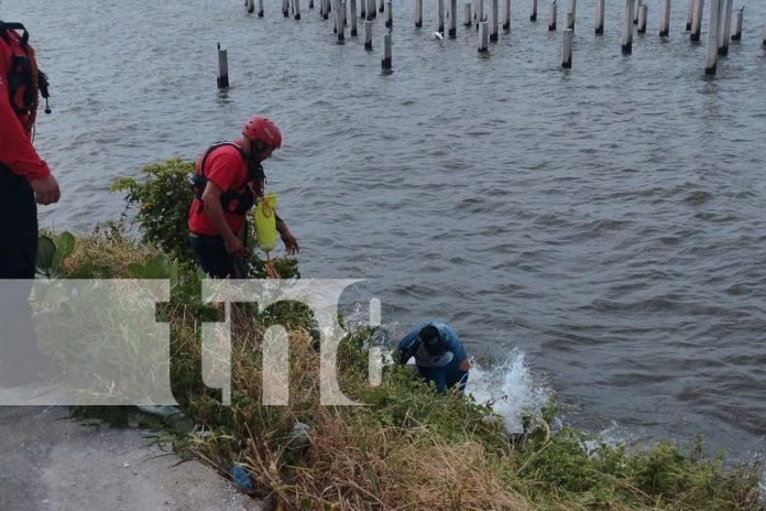 2 Foto: Desesperado tras una ruptura, hombre intenta suicidarse en el Lago de Managua/TN8