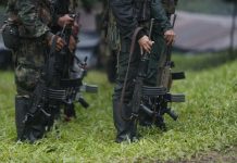 ELN de Colombia levanta el paro armado en Chocó Foto: Ejército de Colombia /cortesía