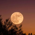 ¿Te gusta ver la luna? Prepárate para el espectáculo de superlunas 2024 Foto: Superlunas 2024 /cortesía