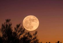 ¿Te gusta ver la luna? Prepárate para el espectáculo de superlunas 2024 Foto: Superlunas 2024 /cortesía
