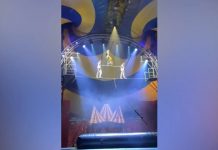 Acróbata de circo se «desmarimba» en pleno espectáculo Foto: Acróbata de circo se lesiona /cortesía