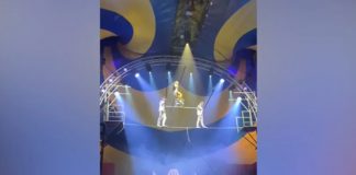 Foto: Acróbata de circo se lesiona /cortesía
