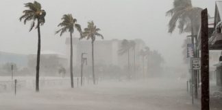 Foto: El huracán Debby toca tierra en Florida El huracán Debby toca tierra en Florida /Cortesía