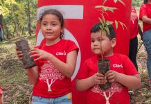 Claro Nicaragua planta más de mil árboles en su “Jornada de Reforestación 2024”