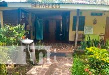 Isla de Ometepe se prepara para recibir a turistas en estas vacaciones patrias Foto: oferta turística lista para estas vacaciones en la isla de Ometepe/TN8
