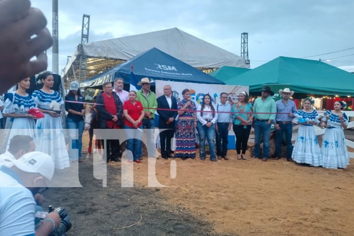 3 Foto: Inicia la Feria Ganadera 2024 en Managua con más de 400 ejemplares/TN8