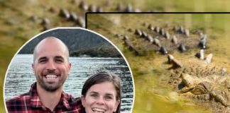 Foto: Un padre de tres hijos en Australia perdió la vida en un intento por proteger a su esposa/Cortesía