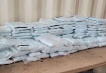 ¡Histórica Incautación! Estados Unidos confisca 4 millones de píldoras de Fentanilo Foto: 4 millones de píldoras de fentanilo incautan en Estados Unidos/Cortesía