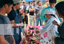 Tecnológico Ernest Thalman celebra 40 años de formación técnica Foto: Tecnológico Ernest Thalman celebra sus 40 Años de Éxito /TN8
