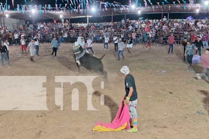 4 Foto: Capitalinos disfrutan de la mejor monta de toros en