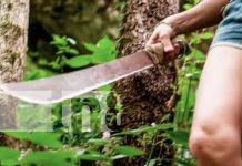 Mujer ataca con machete a otra en Jalapa: Tenía un ataque de ira y celos Foto: En Jalapa, mujer agrede con un machete/Cortesía
