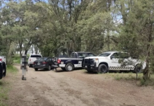 Macabro hallazgo de cuerpos encontrados en bosque de México