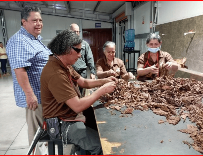 Foto: Fábrica de tabacos El Fumador S.A en Estelí Foto: Fábrica de tabacos El Fumador S.A en Estelí
