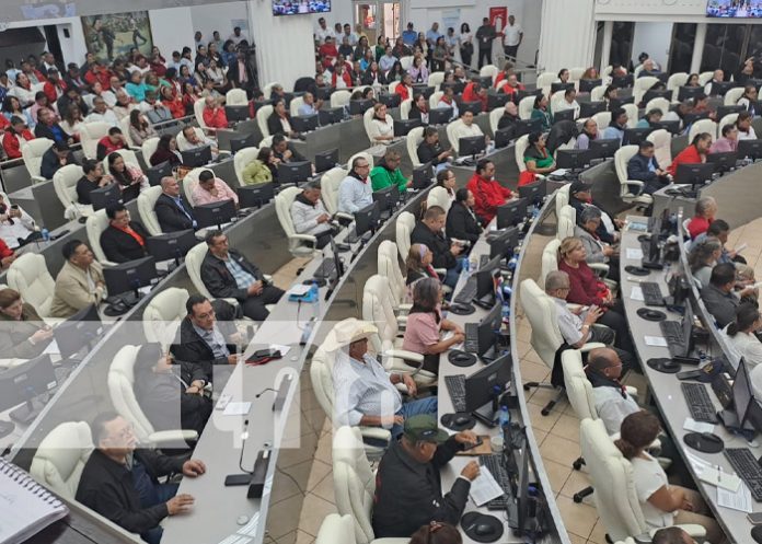 Foto: Condecoración a la guerrillera histórica de Pancasán, Gladys Báez / TN8 Foto: Condecoración a la guerrillera histórica de Pancasán, Gladys Báez / TN8