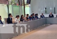 Delegación empresarial china se reúne con altos funcionarios de Nicaragua Foto: Delegación empresarial de China se reúne con funcionarios de Nicaragua / TN8