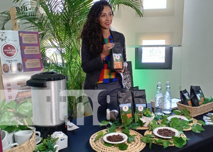 Foto: Programa Emprendedor Creativo de Nicaragua Diseña / TN8 Foto: Programa Emprendedor Creativo de Nicaragua Diseña / TN8