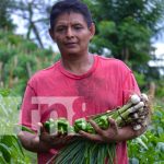 Agricultores de La Concepción inician la semana con nuevos cultivos Foto: Diversidad de cultivos en La Concepción, Masaya / TN8
